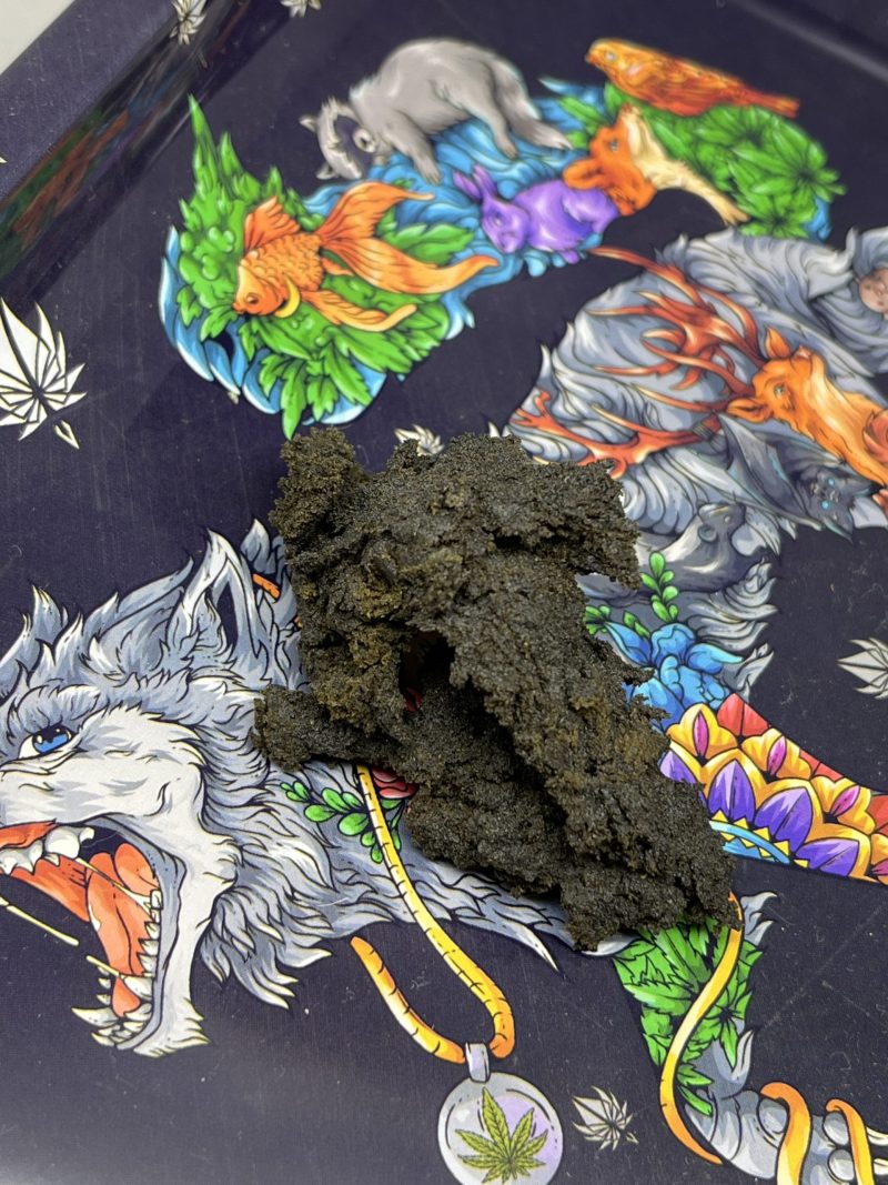 AMSTERDAM SKULL HASH